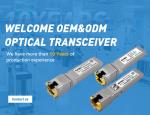 Good Price 100Mbps Electrical FE Copper RJ45 Module 100meters compatible with