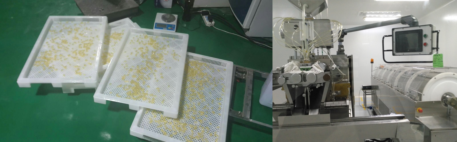 Soft Gelatin Encapsulation Machine 103x152 Capsule Mold