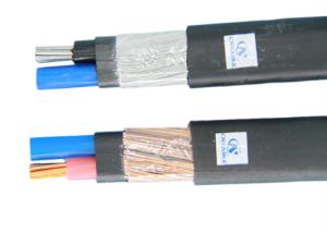 China ASTM Thermoplastic Insulation 16mm2 25mm2 XLPE Concentric Cable wholesale
