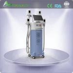 Perfect effect slimming machine cryolipolysis fat freezing equipment