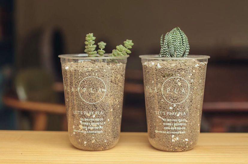 Logo Printed Compostable Cups Clear Environmentally Friendly Plastic Cups 20oz