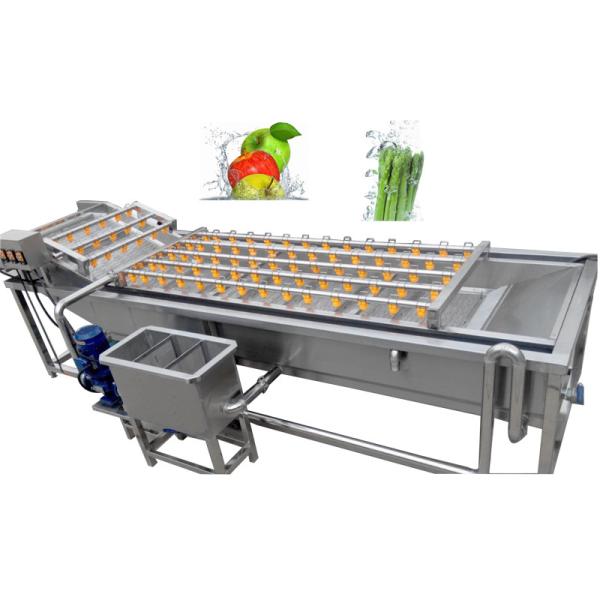 Quality 1200kg/H Herbal Medicine Bubble Washing Machine Pickles Processing for sale