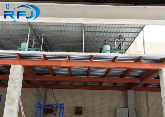CE Walk In Freezer Room Refrigeration Chamber Industrial Fridge Freezer System