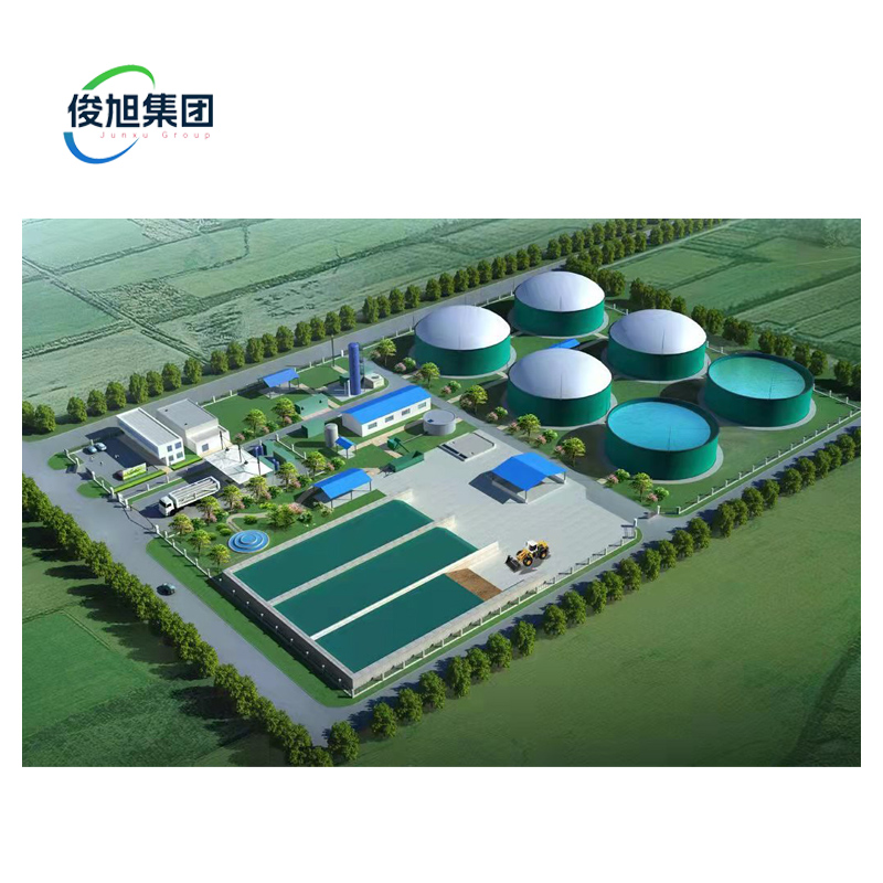 After Service Online Video Technical Support Biogas Desulfurization