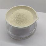 Brewer'S Yeast Powder 45% Animal Feed Yeast High Proteins Feed Additive for