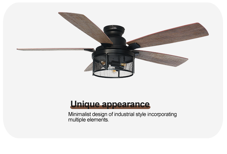 2- 110-240V/50Hz-60Hz Lighting Ceiling Fan with Remote Control and Fancy Iron Design
