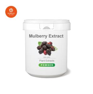 China Cheap Manufacturer Supply Mulberry Extract For Skin Care wholesale