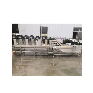 China Bamboo shoot processing equipment vegetable processing line wholesale