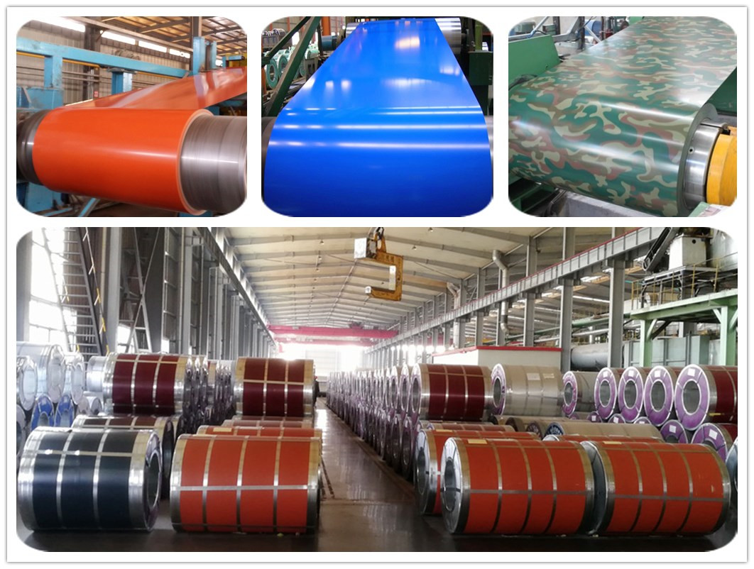 Coil Roll Ppgi and Ppgl Printed ppgi color coatedSteel Coil In Prime Prepainted Color Coated Steel Coil