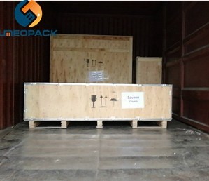Automatic candy weighing plastic bag packing machine