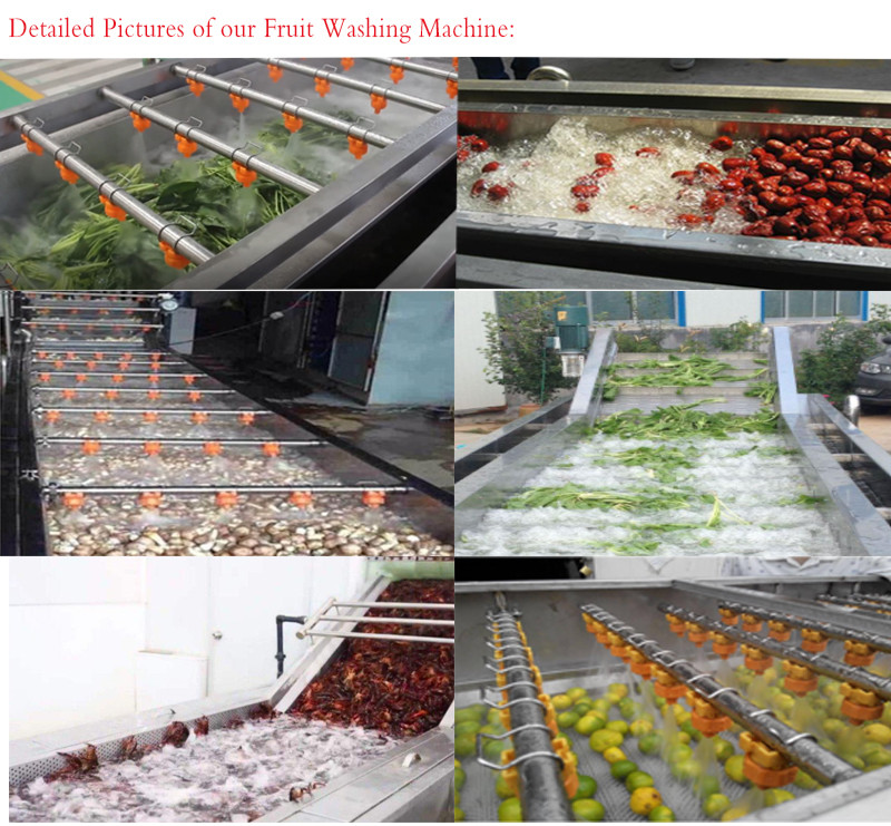 Pasteurization Vegetable Fruit Washing Machine 1500kg/H