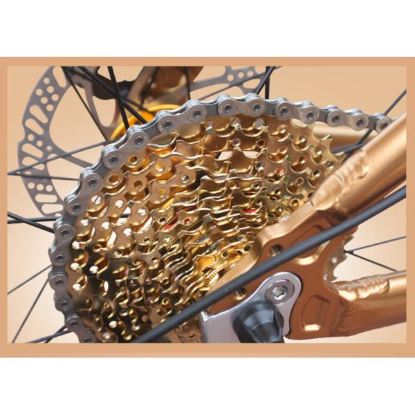 Gold 30 Speed 26x4.0 Inch Fat Wheel Mountain Bike