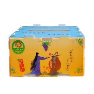 China Correx Corn Vegetable Corrugated Boxes Corrugated Plastic Shipping Boxes wholesale