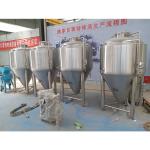 300lt Working Volume Stainless Steel Tanks for Alcohol Industrial Fermentation