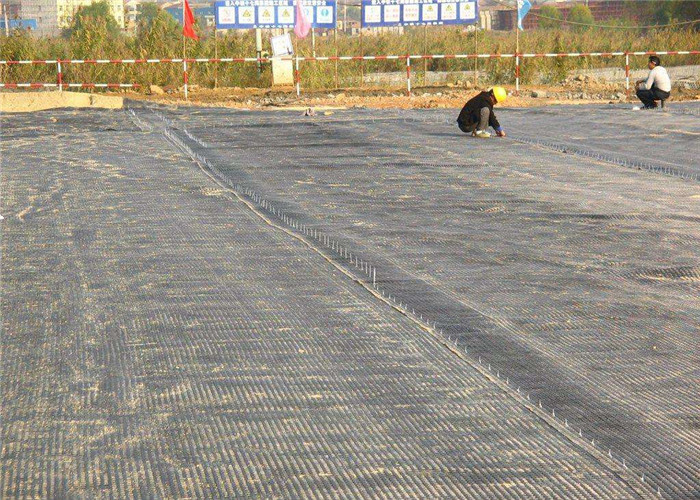High Tensile Strength 2m X 50m Biaxial Plastic Geogrid Pp