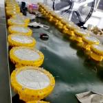 ATEX Led Explosion Proof Light 30w 50W 100W 200W Explosion Proof High Bay Light