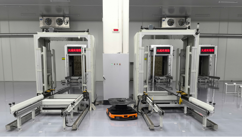 Double Deep Pallet Stacker ASRS