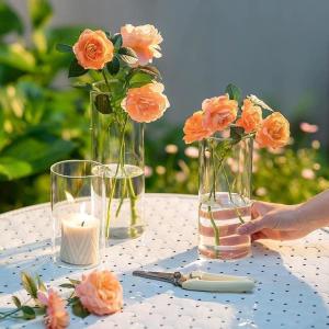 China Custom Design 5inch 10inch Classical Cylinder Flower Glass Vase wholesale