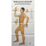3pcs Meridian Acupuncture Chart ISO Acupuncture Culture