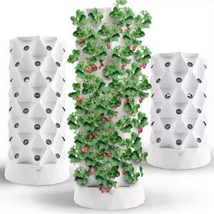 China Indoor Vertical Growing Systems Soilless Culture Hydroponic Grow Towers For Lettuce wholesale