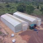 10ft Plastic Film Sawtooth Greenhouse Tunnel Tropical Top Ventilation Tomato