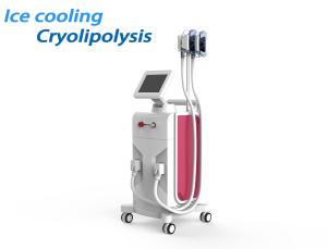 China Cool Tech Cryolipolysis Fat Freezing Machine Painless Fat Freeze For Weight Loss wholesale