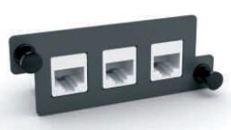 China Adapter Plate Rj45 Keystone Module 3 Cat5e Cat6 Port Steel wholesale