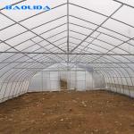 Strong Packing Polytunnel Greenhouse Hobby Commercial Agricultural Support