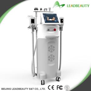 China Best Price Multifunction Freezing Fat Cell Slimming Cryolipolysis Machine wholesale