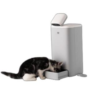 China Automatic Tracking Smart Pet Companion Robot 110 Degree Vertical Rotation wholesale