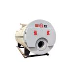 CWNS Food Industry Oil Fired Hot Water Boiler Six Ton Per Hour Wet Back