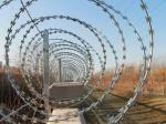 Professional manufacture promotion price Hot Dipped Galvanized Barbed Wire fast