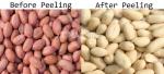 304 Stainless Steel Roasted Peanut Peeling Machine Intelligent 400KG/H