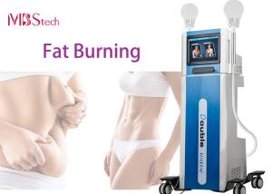 China Electric Fat Burning Muscle Build EMS EMShapeing Machine wholesale