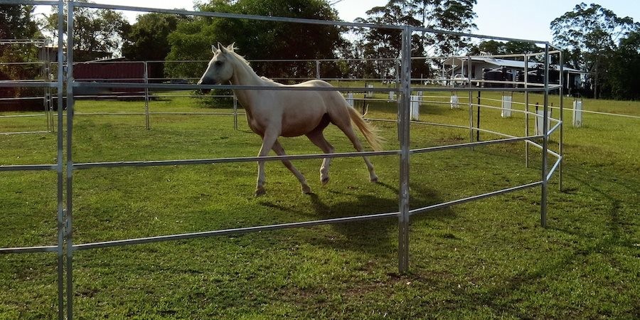Australia Hot dipped galvanized 1.8x 2.1m livestock used horse panels for sale
