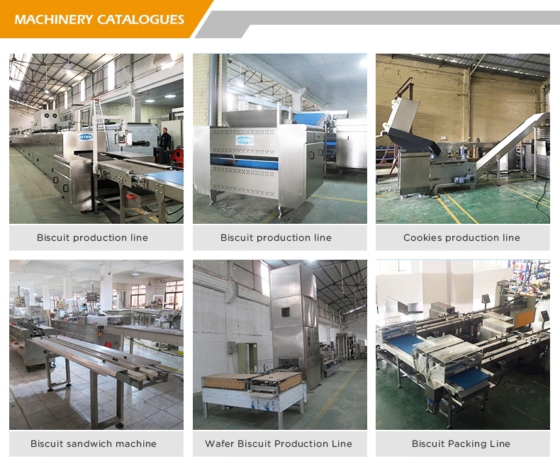 Schneider Transducer Custom Packaging Solutions Biscuit Wrapping Machine