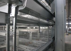 China High Rearing Efficiency Industrial Chicken Coop Poultry Farm Cage ISO9001 Approved wholesale