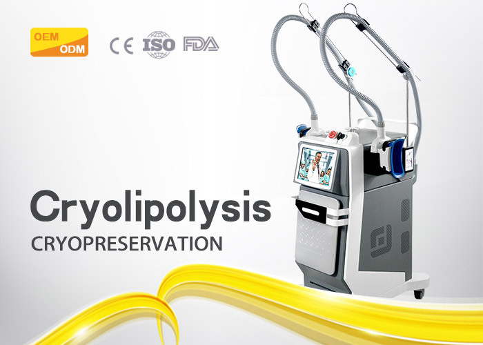 Metal Cryolpolysis Slimming Machine Frozen Weight Loss RF Cavitation For Body