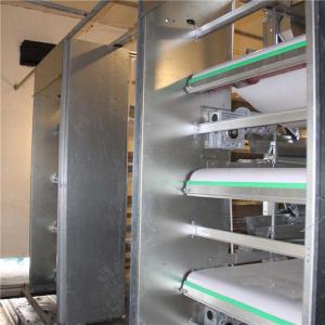 China Steady Poultry Manure Removal System , Poultry Farming Equipment Simple Operation wholesale