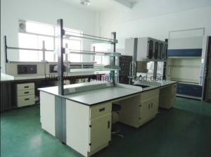 China Food Industry Laboratory Working Table Steel Furniture With Reagent Rack on sale