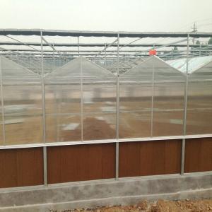 China 9.6m Span Venlo Pc Sheet Greenhouse Galvanized Steel Framework Green House Used For Agricuture wholesale