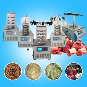 China Benchtop Lab Lyophilizer Stainless Steel Vacuum Lyophilization wholesale