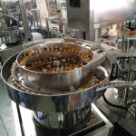 Plastic Lid Sorter Machine with 150 KG Capacity and Stainless Steel 304