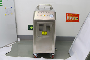 9kw Electric Steam Car Washing Machine Automatic Portable 304 stainless steel