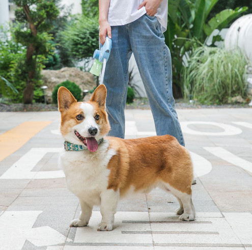 Automatic Extendable Pet Traction Rope Lead Heavy Duty Extendable Dog Lead