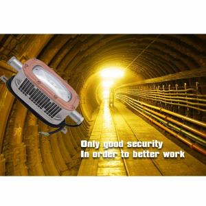 China CREE 30 Watt LED Explosion Proof Light 6500K Cold White For Offshore Oil Plant wholesale