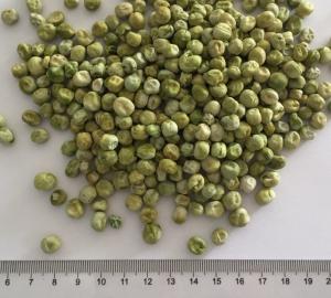 China 100% Pure Natural Air Dried Vegetables Garden Dried Green Beans Food Grade wholesale
