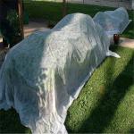 Agricultural PP Spunbond Nonwoven Fabric 165gsm Breathable
