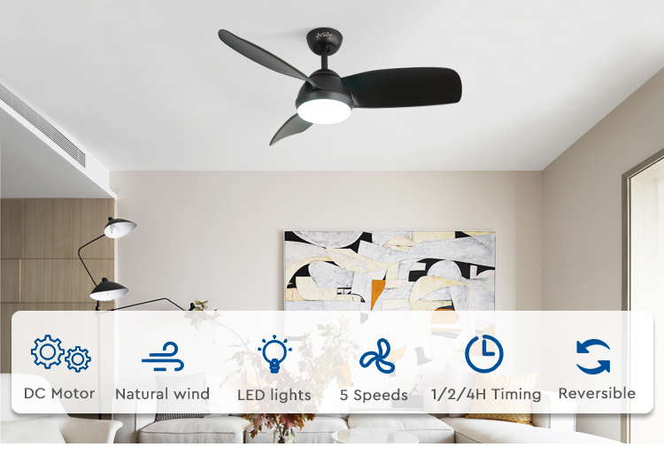 ceiling fan
