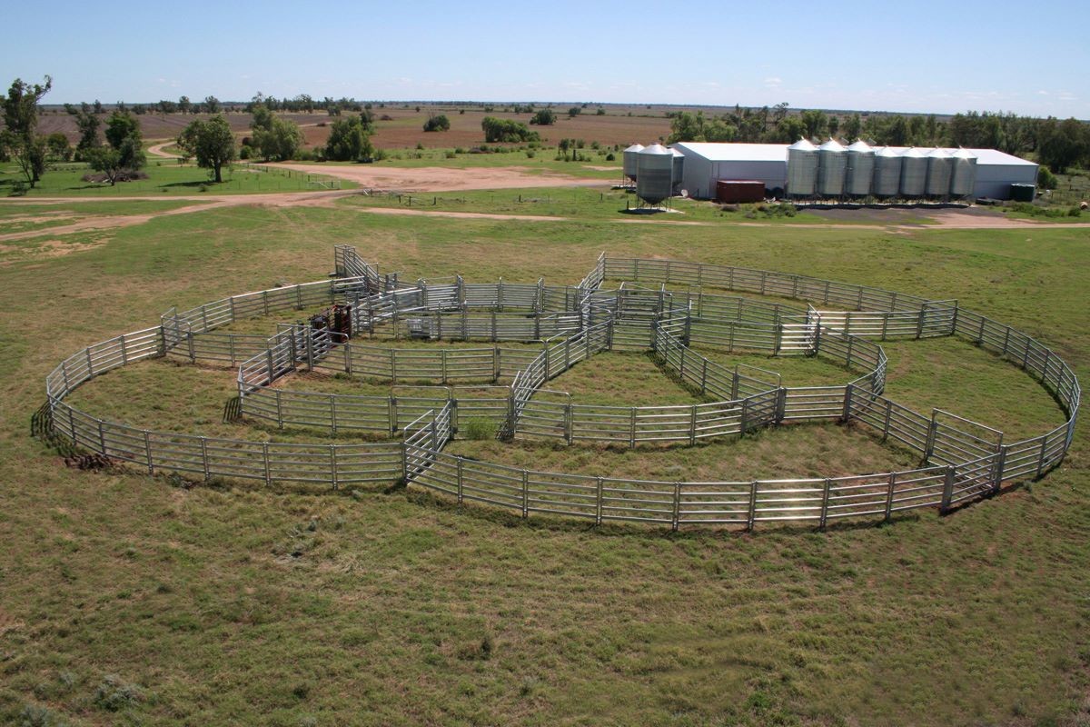 Six Bars Heavy Duty Metal Oval Rail Cattle Corral Panels For Sale For Au